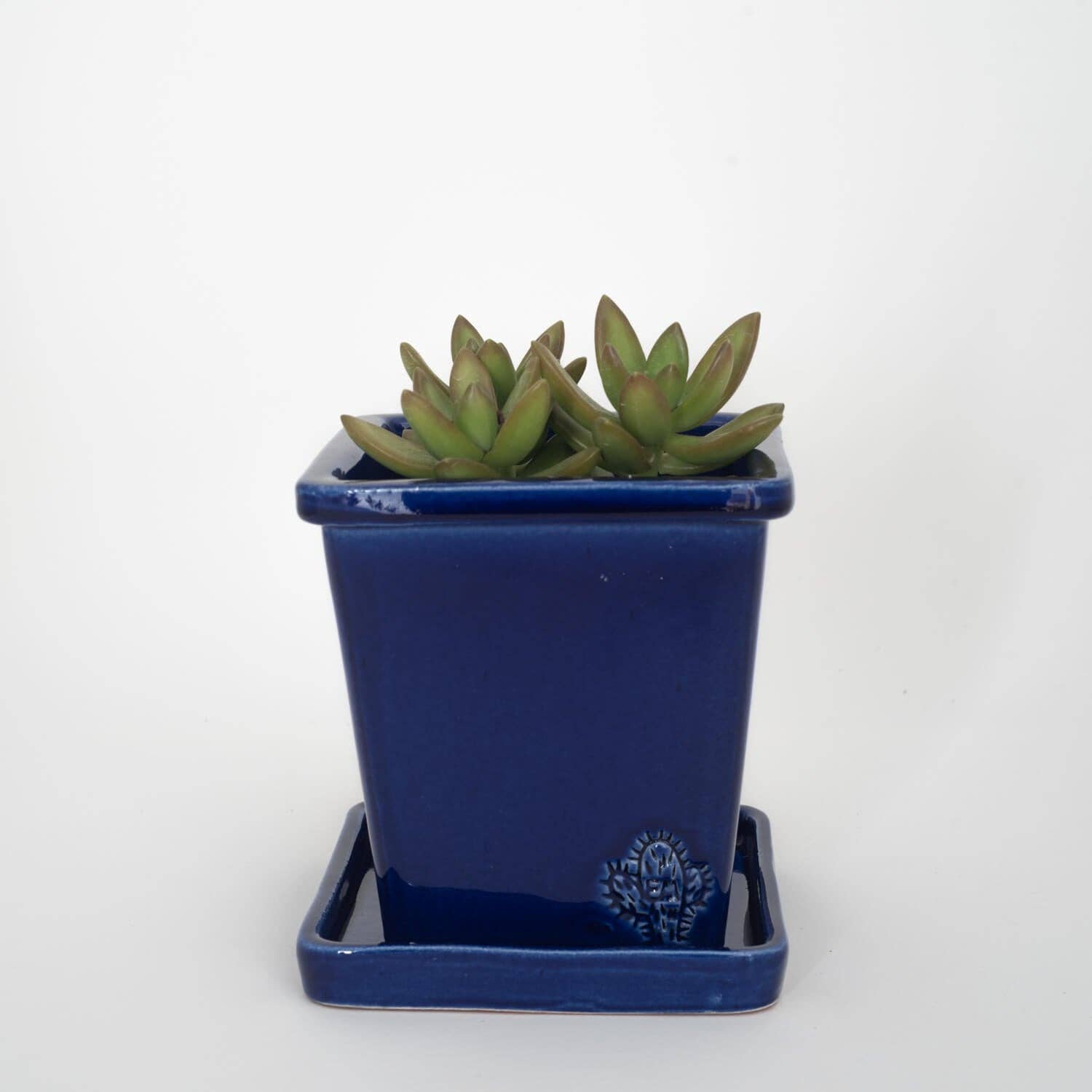 Vasos Quadrados by EM – Engroshandel Plantekrukke – Medium firkantet vase 14x14 cm - blank7