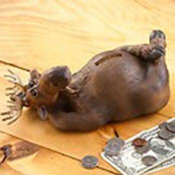 Melvin Moose Bank for wholesale by Natures Window