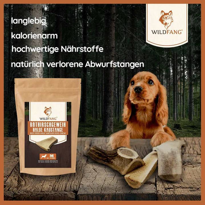 WILDFANG - Wholesale Pet Treats - Dog - Red deer chewing antler - half chewing stick3