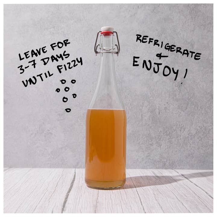 Blighty Booch Kombucha – Engroshandel DIY-drikkekit – Blighty Baby Kombucha Starter Fuldt sæt - Unik gave