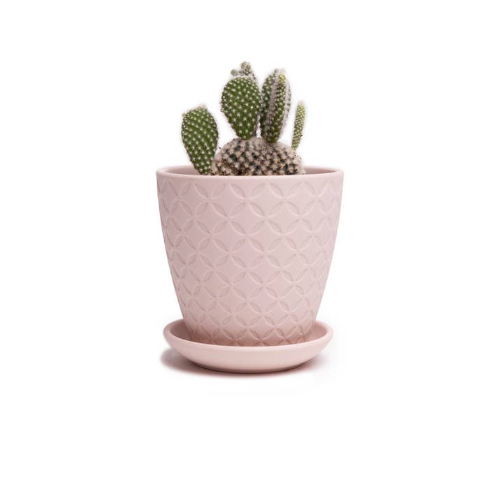 Chive - Wholesale Plant Pot - Virago Planter Pots With Drainage Hole 5 Inch Pot And Saucer5