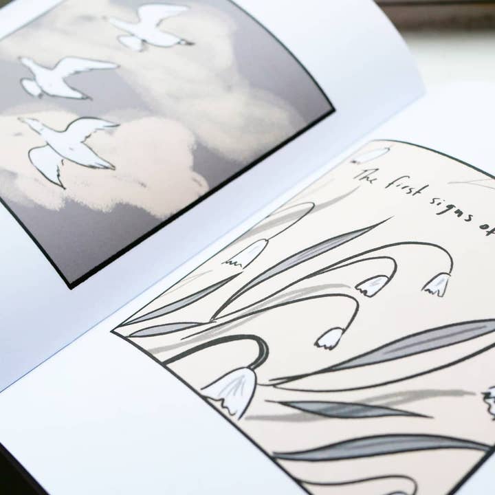 Emmeline Illustration - Wholesale Book - Adult - First Signs Of Spring Diary Comic