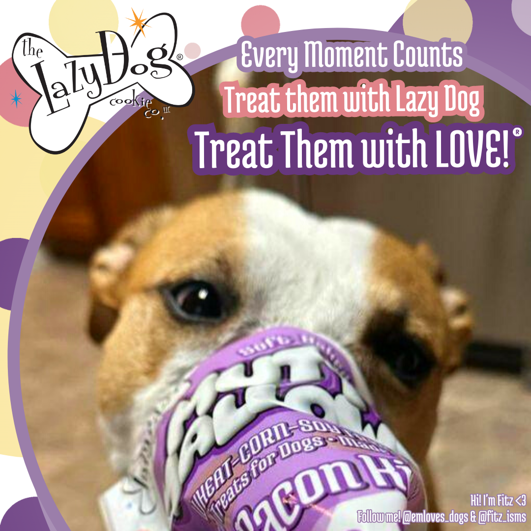 The Lazy Dog Cookie Co., Inc. - Wholesale Pet Treats - Dog - Maple Bacon Kissies4
