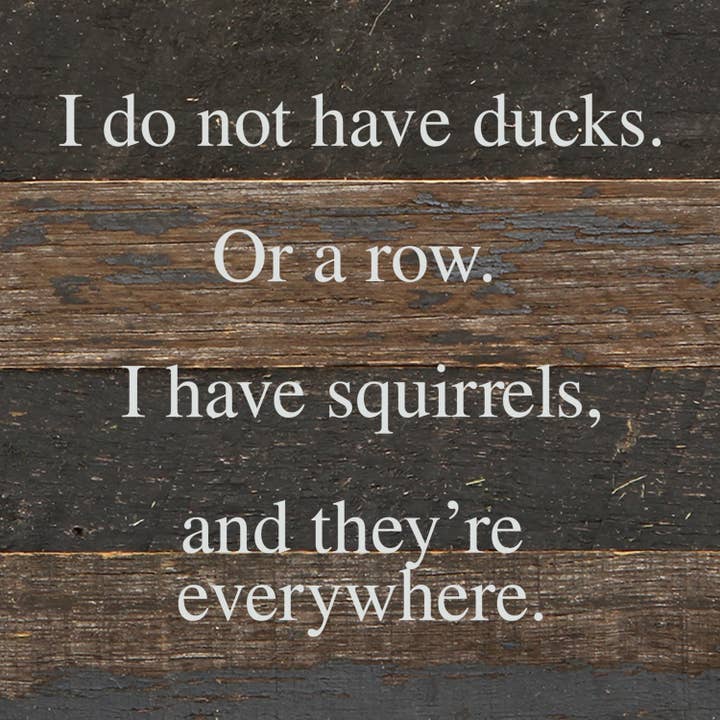 Second Nature by Hand - Wholesale Sign - I do not have ducks. Or a row. I have squirrels, and they're everywhere. / 6"x6" Reclaimed Wood Sign