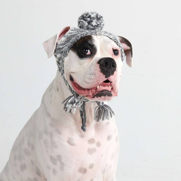 Knit Pom Pom Dog Beanie Hat - Salt and Pepper for wholesale by Spark Paws