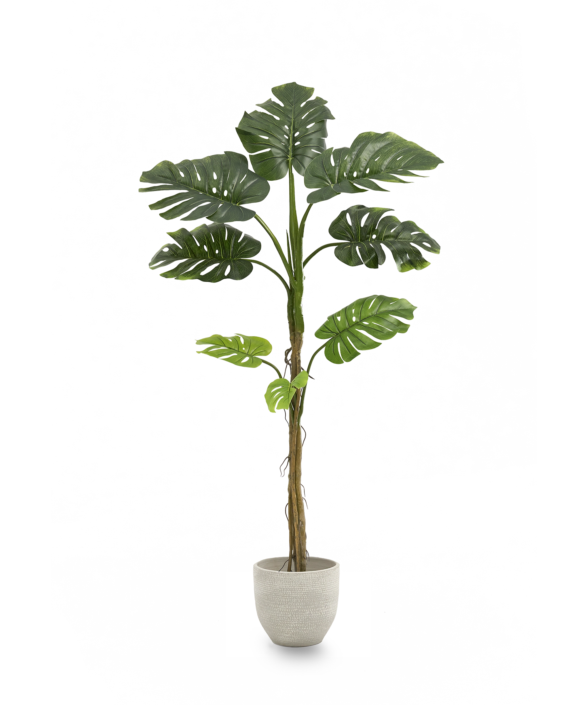 Maia Shop – Engroshandel Kunstig plante – Kunstig Monstera6