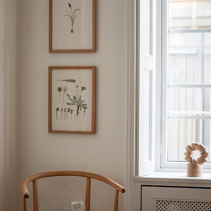 Vanee.ink - Wholesale Art Print - Dandelions Print2