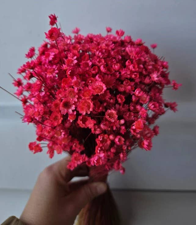 .AVPV. Studio - Wholesale Artificial Flowers - Glixia mini star flowers9