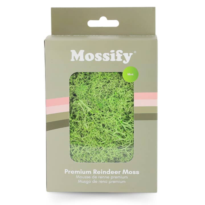 Mossify - Wholesale Live plant - Premium Preserved Reindeer Moss – Colorful Decorative Mix4