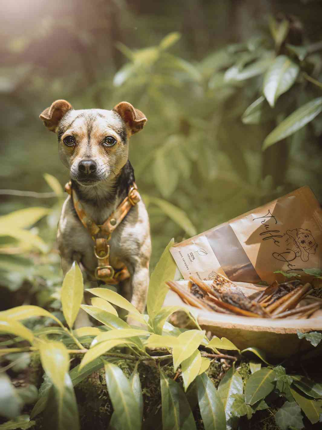 Truffe Délice - Wholesale Pet Treats - Dog - Deer skins3