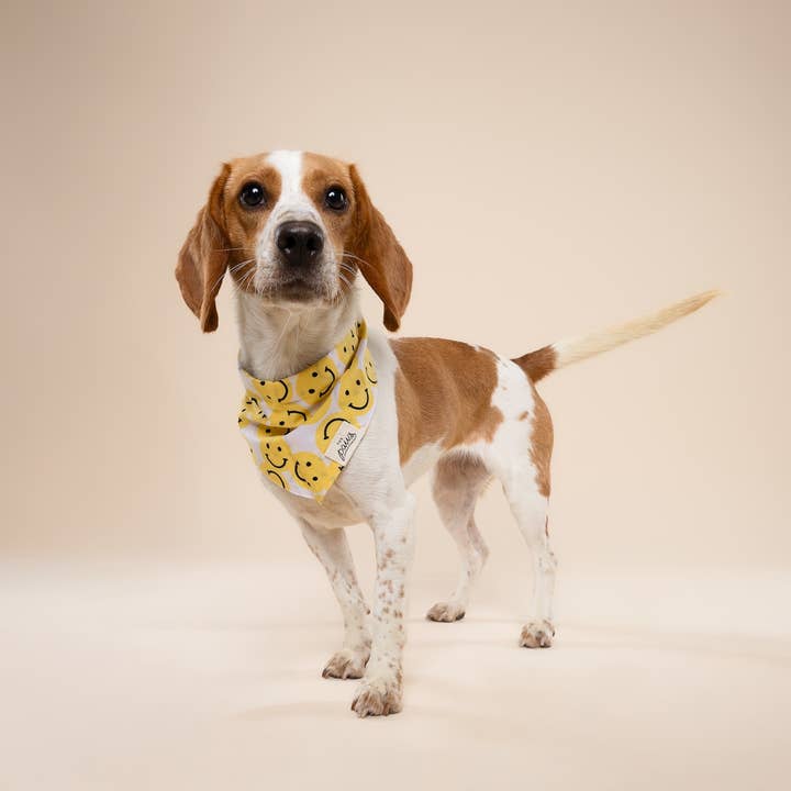 The Paws - Wholesale Pet Bandana - Dog - Smile Dog Bandana