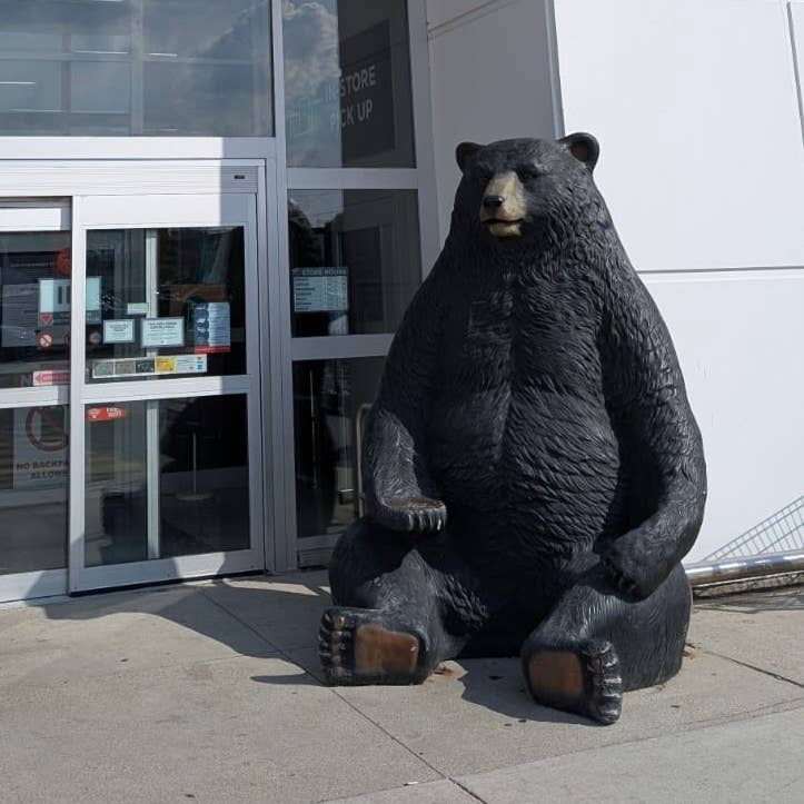 Hi-Line Gift Ltd. – wholesale Utomhusdekor – Svartbjörn Sittande - Jumbo Harts/Fiberglas0