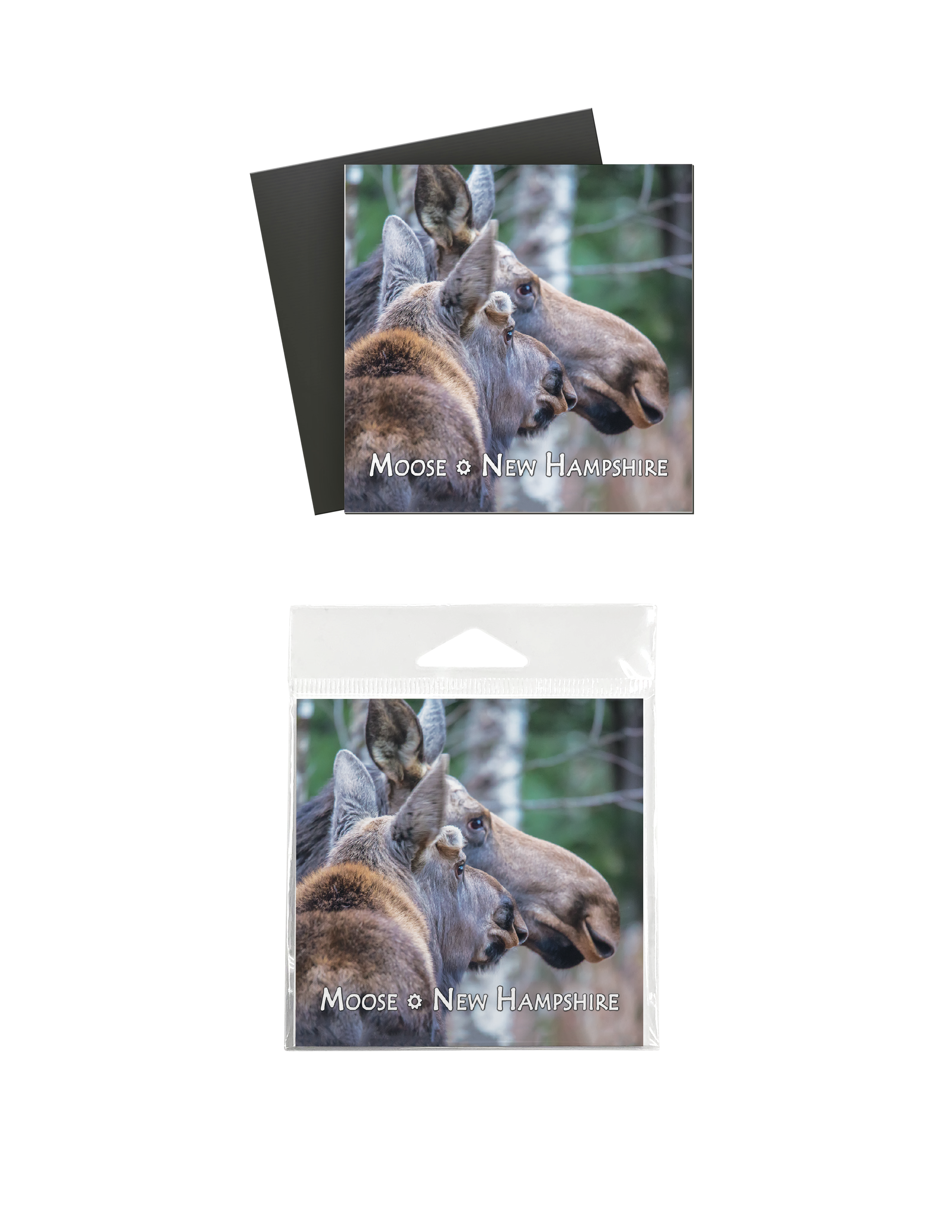 White Mountain Images - Wholesale Magnet - 7508 -  Moose Magnet1