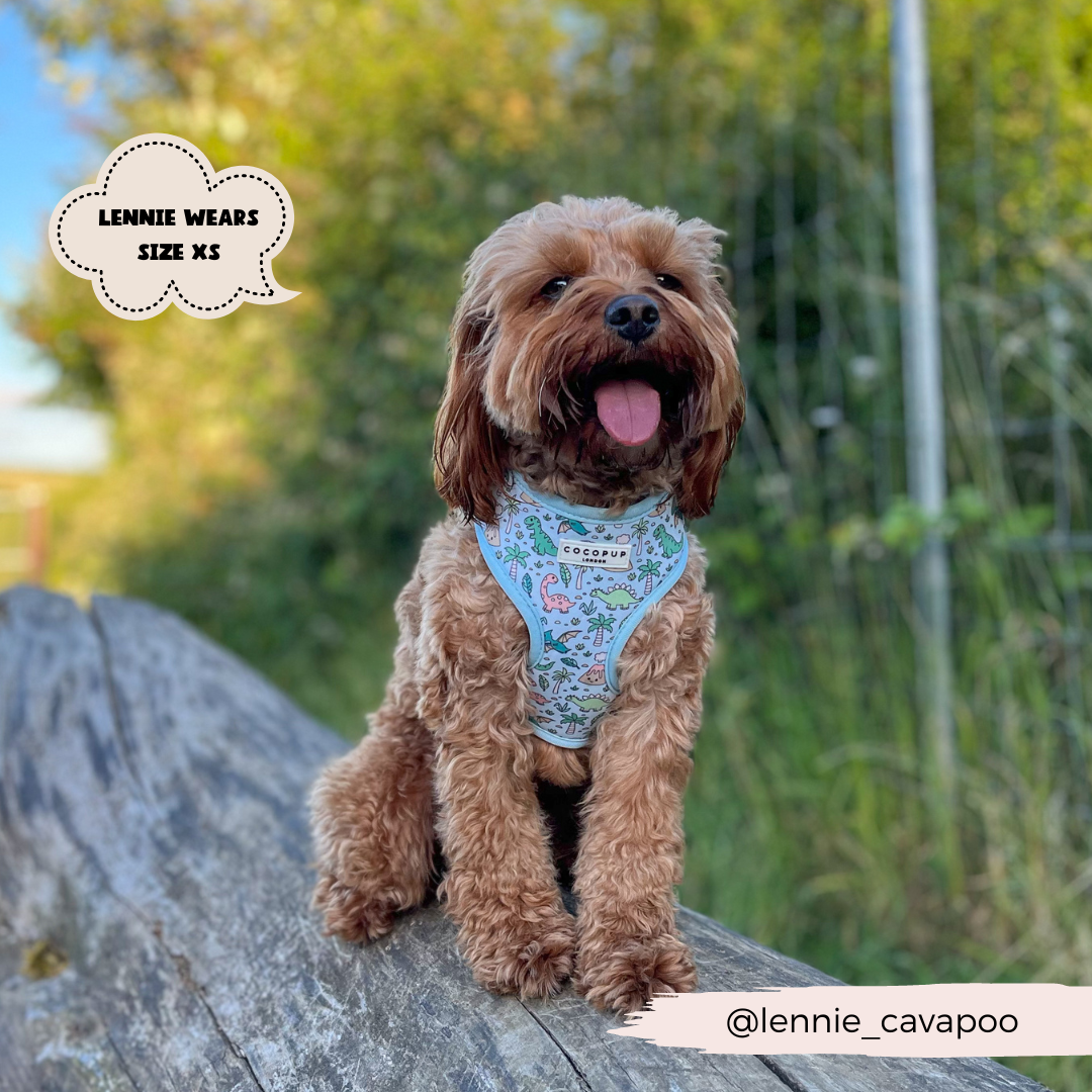 Cocopup London - Venta al por mayor Arnés - Perros - Arnés ajustable para cuello Dinopaws25