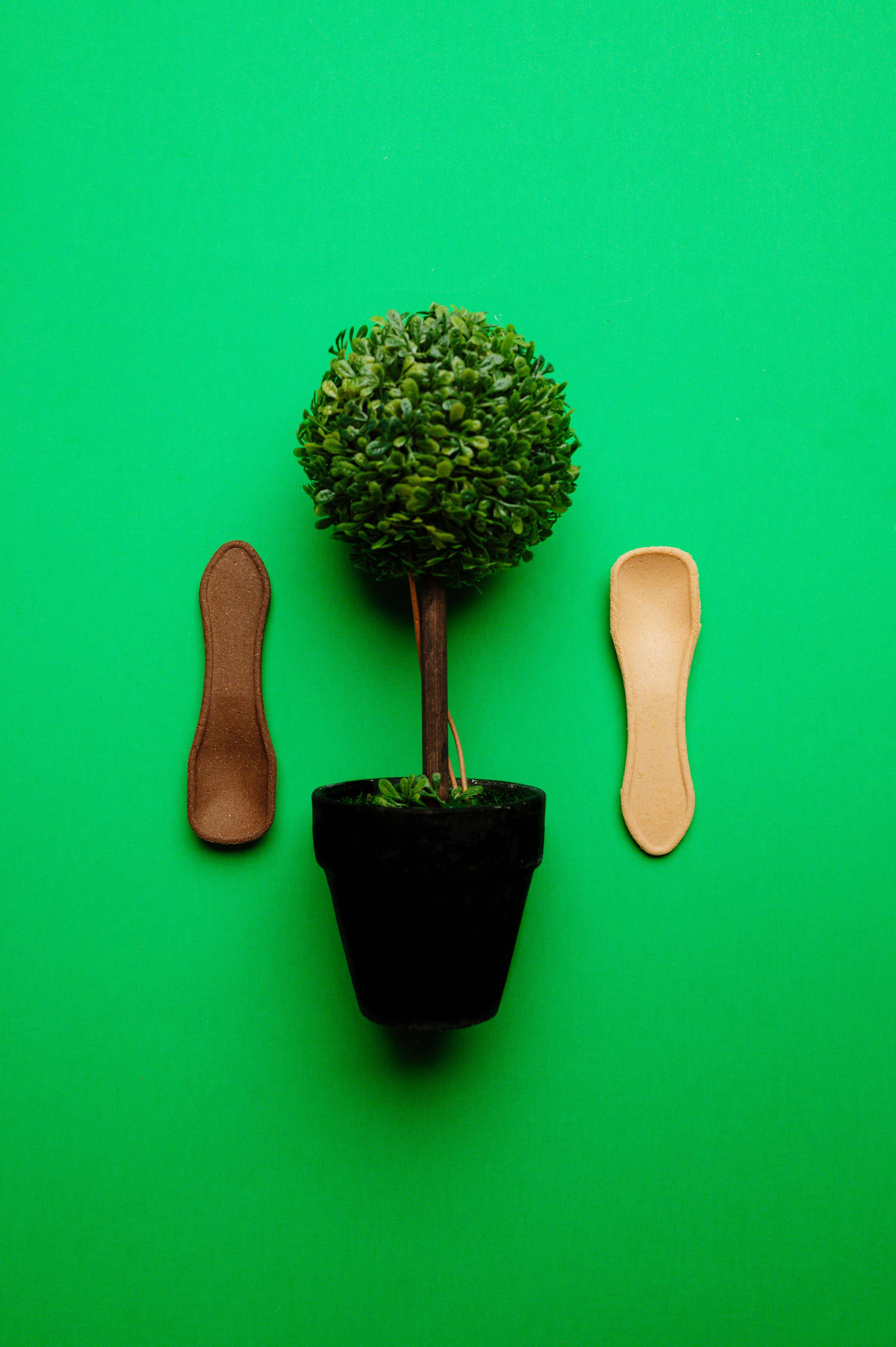 incredible eats - Wholesale Kitchen Spoon - Small Edible Spoons - in flavors (50 count)5