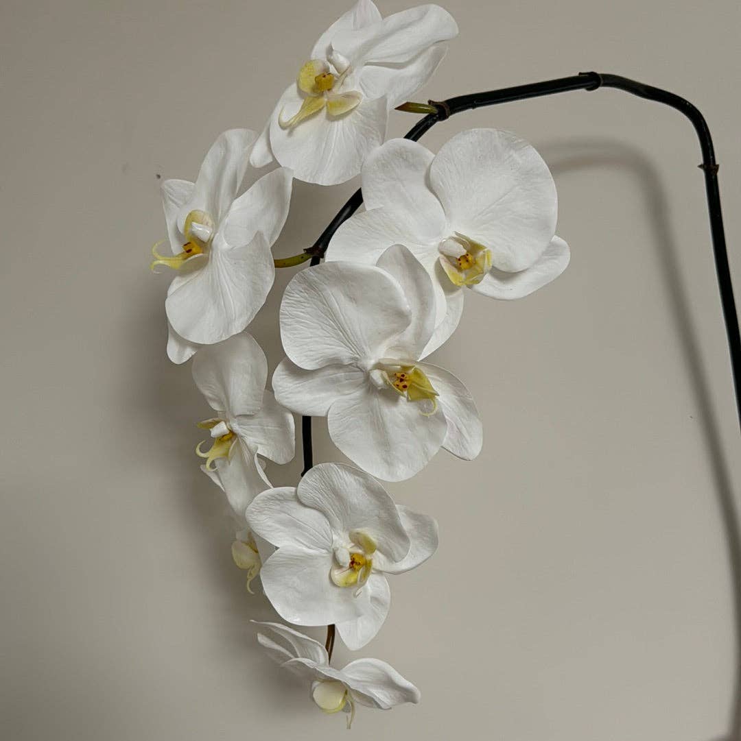 JKF & Co Pty Ltd - Wholesale Kunstbloemen - Real Touch witte Phalaenopsis orchidee tak met 8 bloemen1