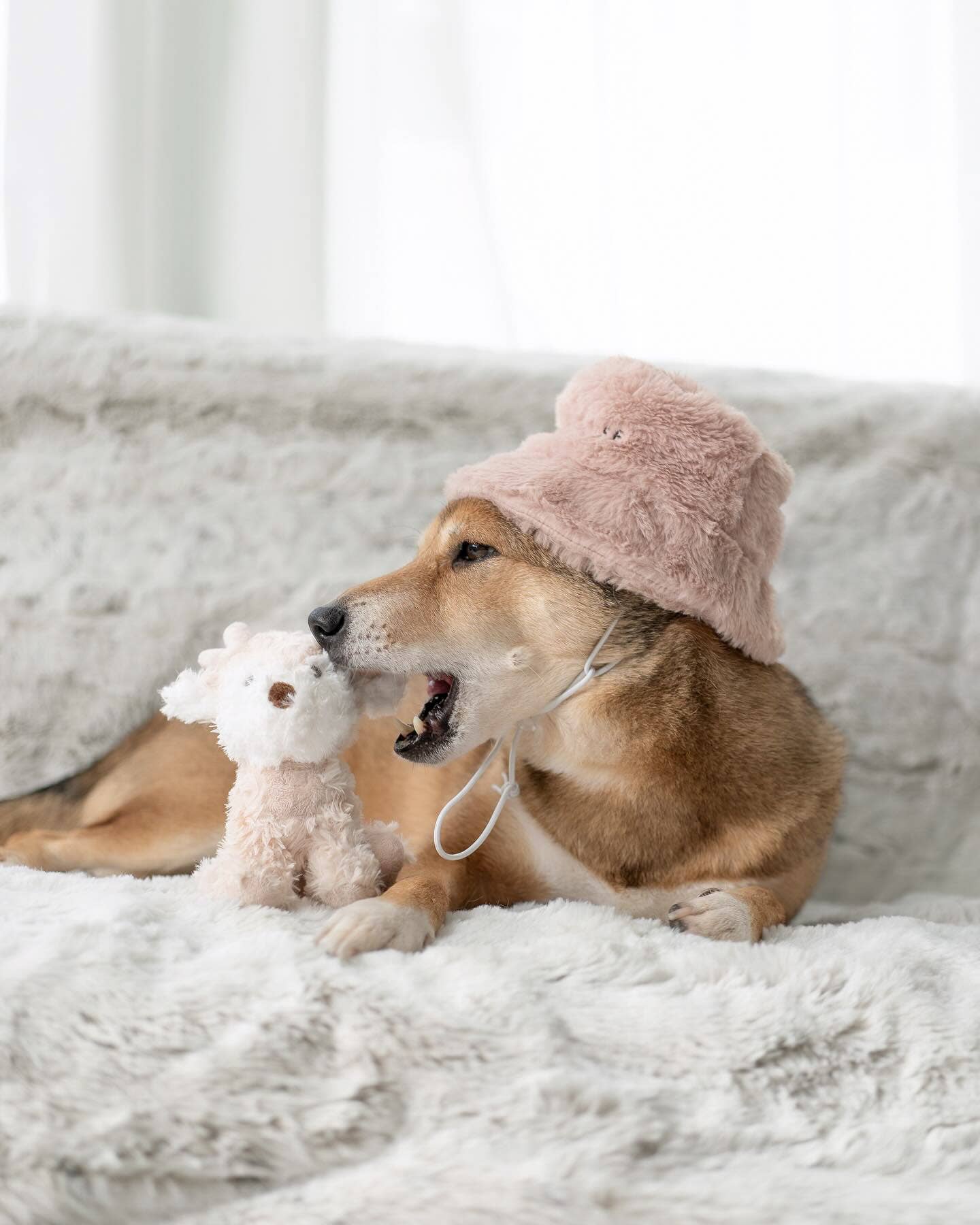 Fur Elise Pets - Wholesale Pet Plush Toy - Dog - Koko Mini Plushie6