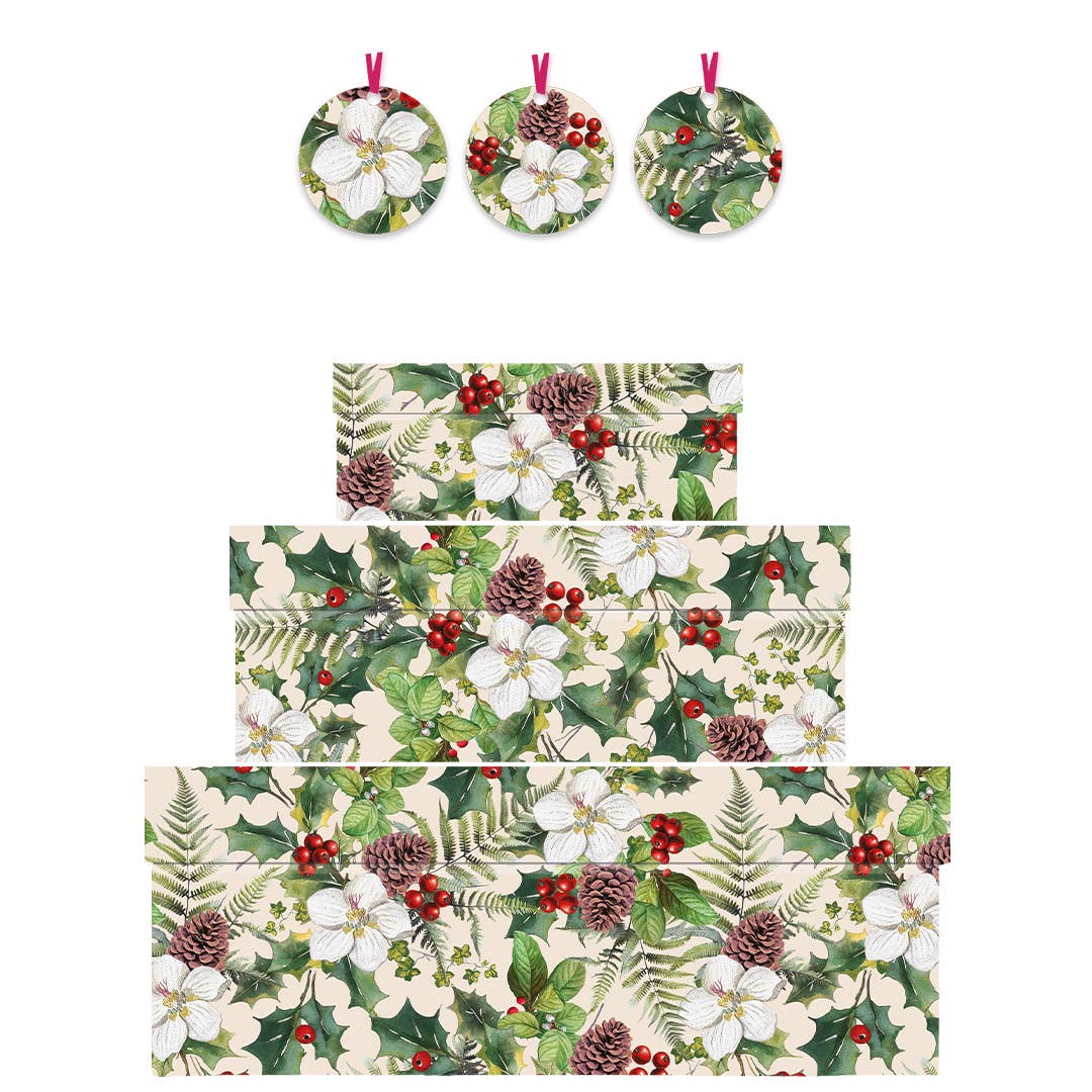 Penny Kennedy Ltd – wholesale Gift box – Christmas Gift Box Set of 3 Holly Berries Floral Green Tags1