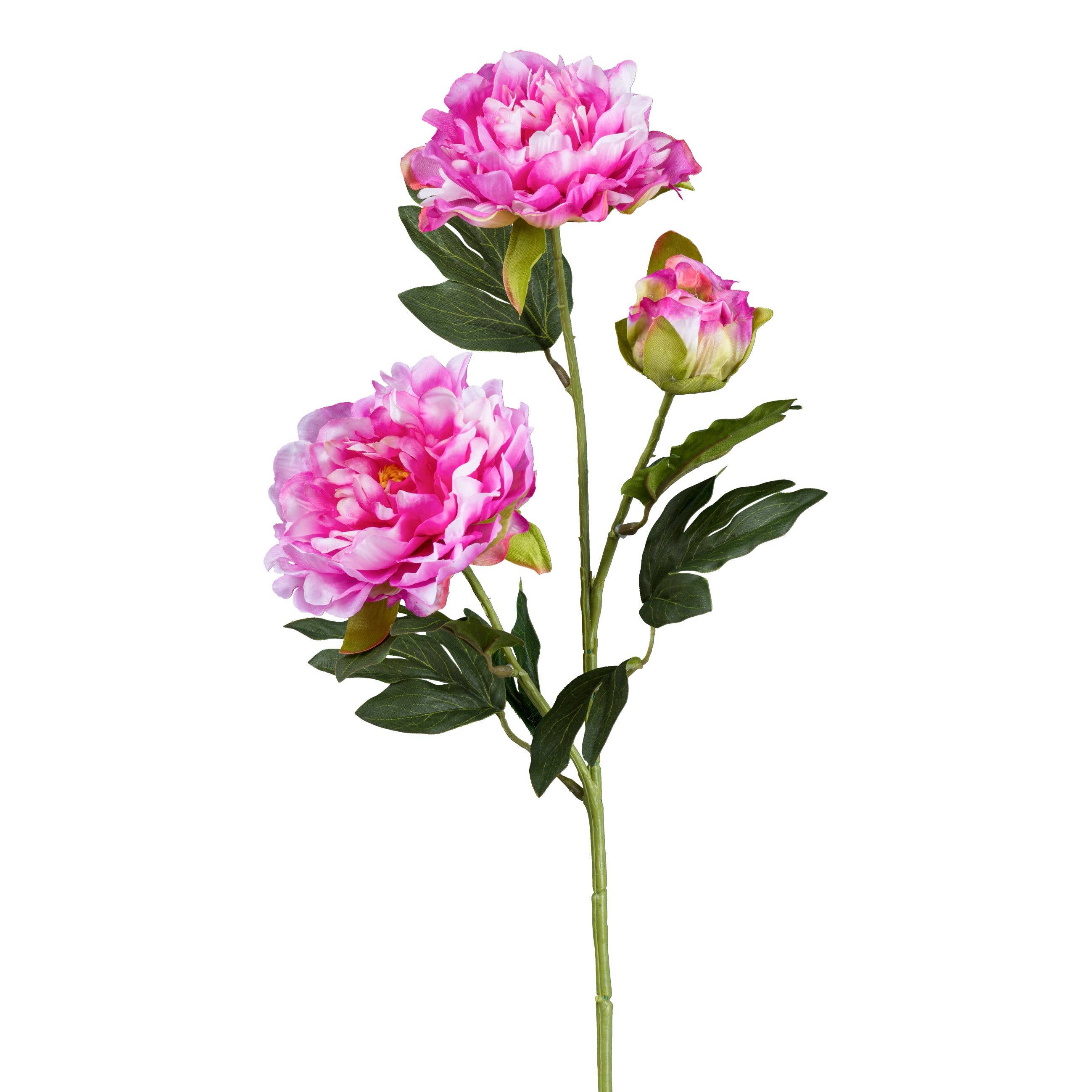GASPER GmbH - Wholesale Artificial Flowers - Peony X3, 63cm0