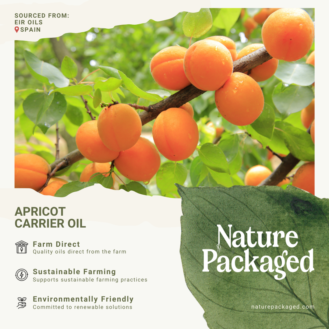 Nature Packaged - Wholesale Bath/Body Oil - Apricot Carrier Oil -100% Pure - Farm-Direct Sourcing9