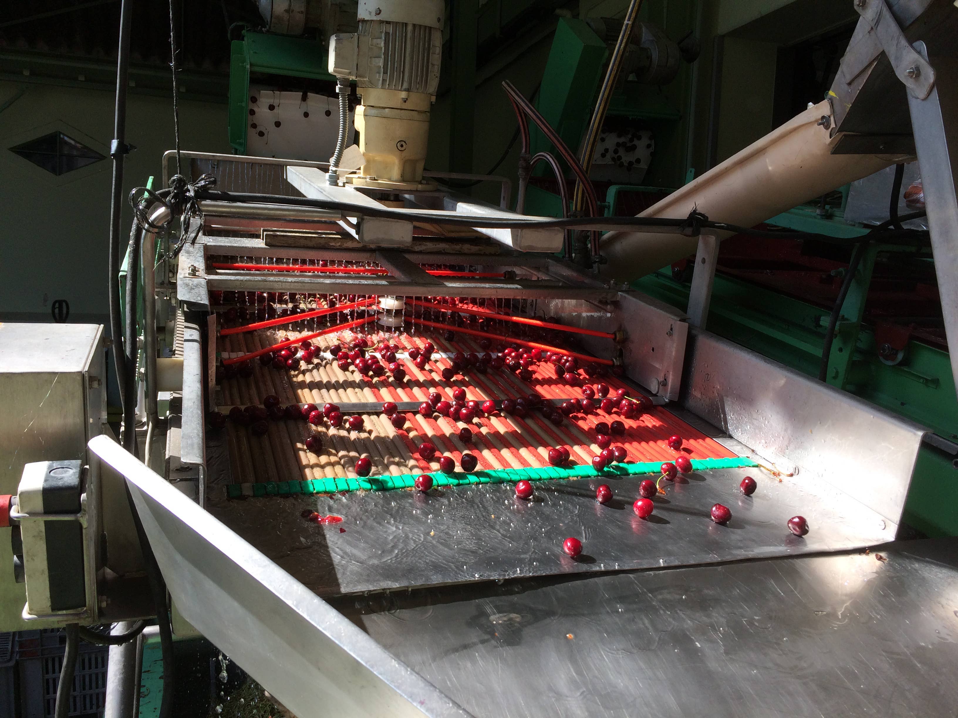 CONSERVES GUINTRAND – Geleia por atacado – Compota de cereja preta PG 580 ml - sem açúcares adicionados3