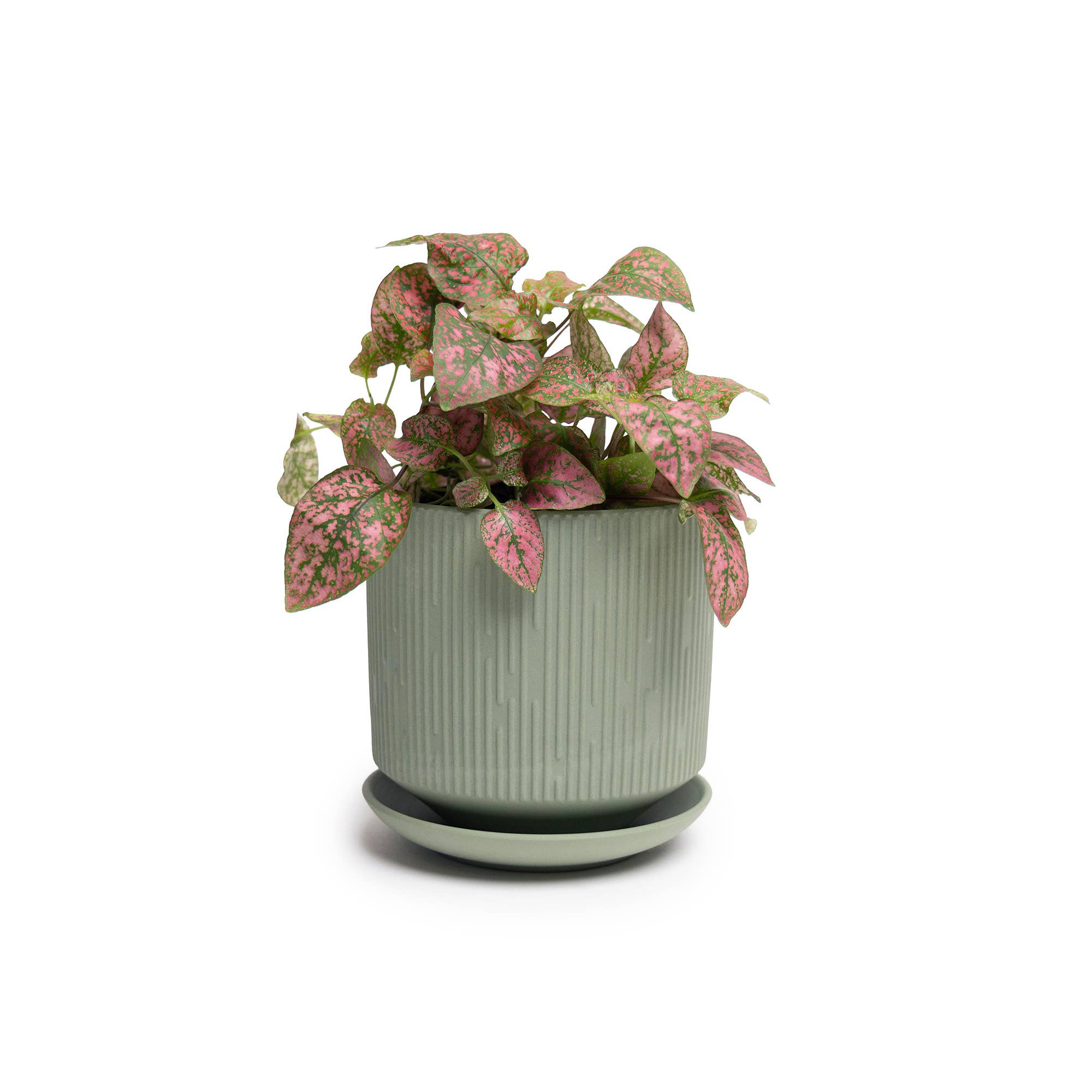 Chive - Wholesale Plant Pot - Handmade Ceramic Virago Pots | Artisan Plant Planters21