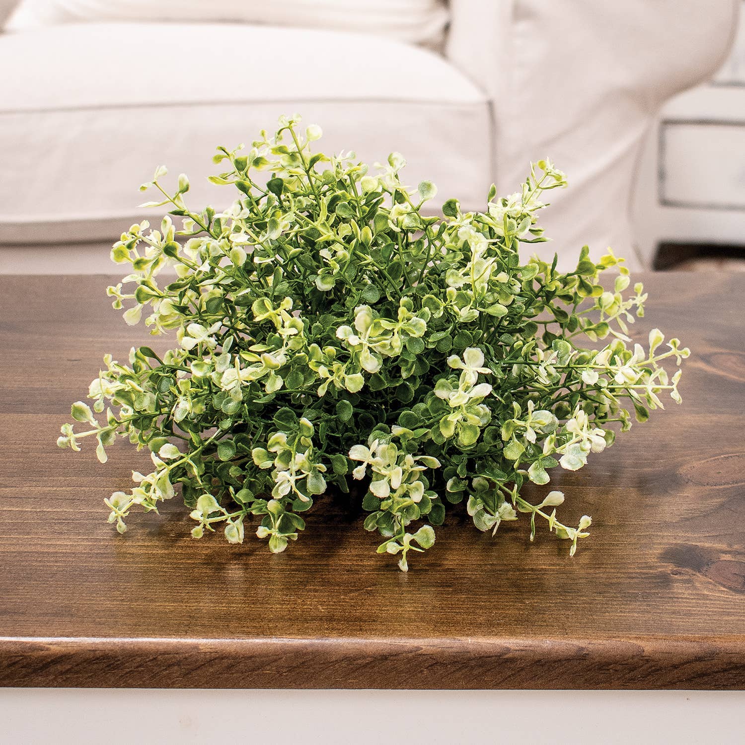 CWI Gifts - Wholesale Artificial Plant - Cream Tipped Baby's Grass Half Sphere - 9" x 6.5"H1