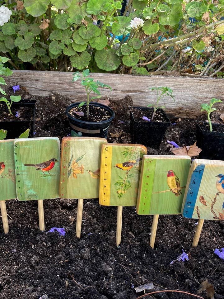 Marcador American Robin Garden, Personalizável, Arte do Jardim por atacado de Streetlightbirds