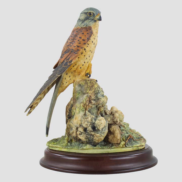 Kestrel (Stijl Eén) Border Fine Arts Vogels voor wholesale door Grays 1922