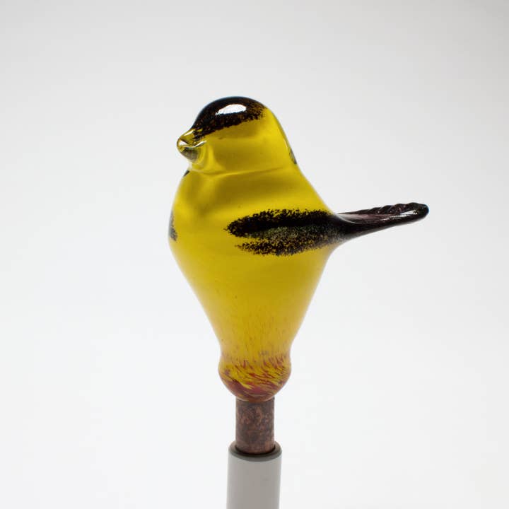 Uccelli di bellezza per il giardino - Il cardellino sognante per la vendita all'ingrosso da parte di epiphany studios