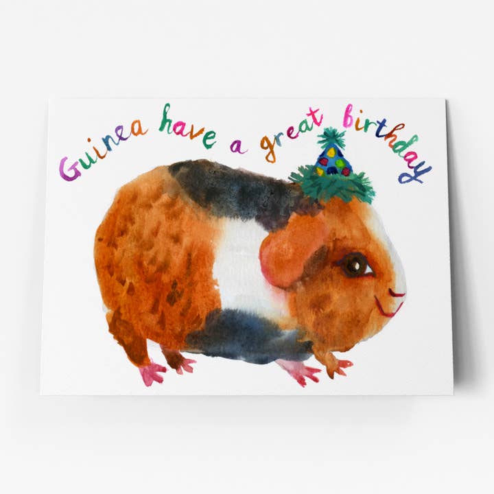 Cartão de Aniversário Porquinho-da-Índia - C0009 por atacado de Rosie Webb illustrations