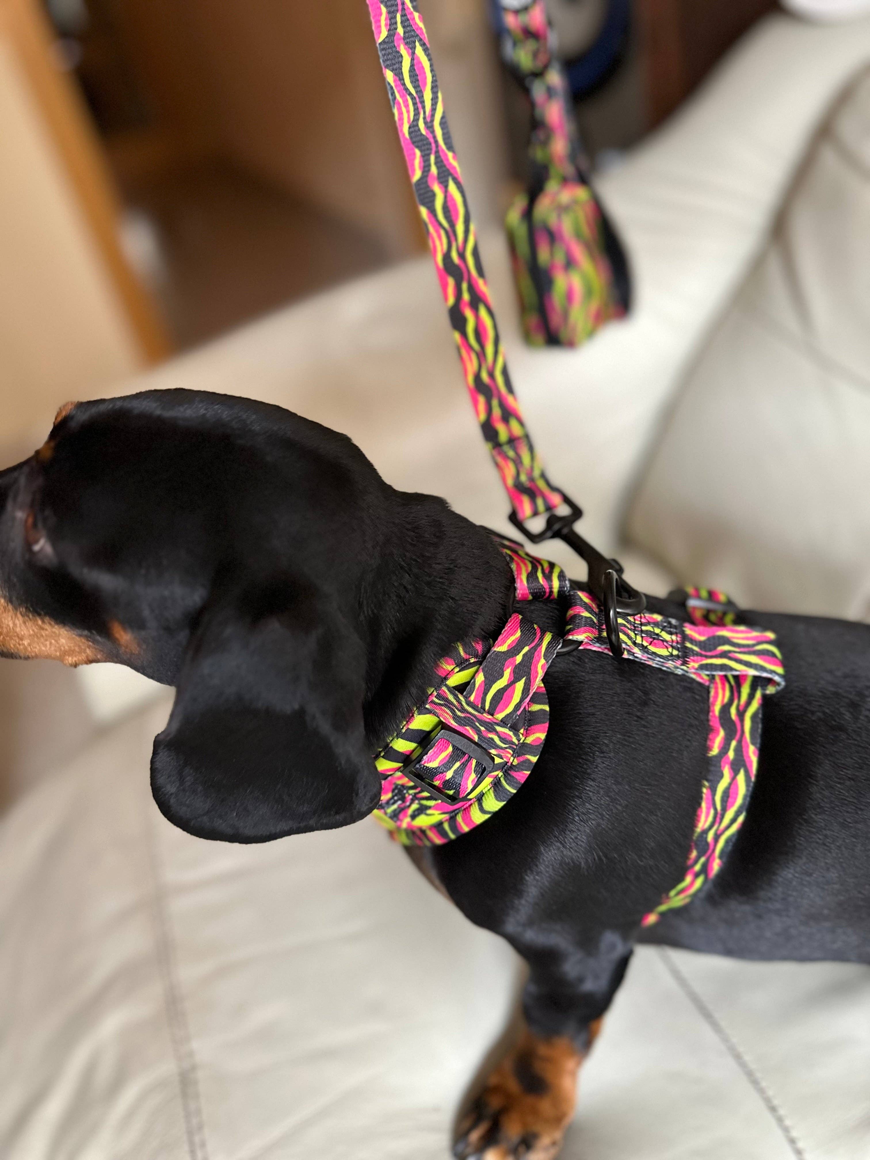 Wildbite Amantes Peludos - Wholesale Pet Harness - Dog - StyleZebra Harness6