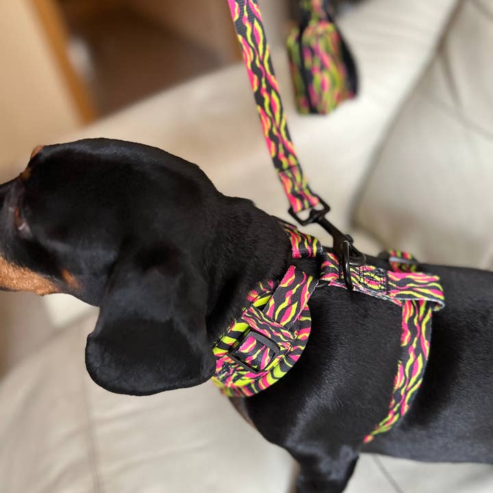 Wildbite Amantes Peludos - Wholesale Pet Harness - Dog - StyleZebra Harness6