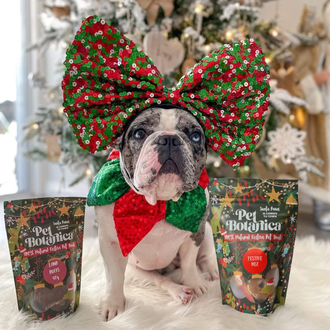 Pet Botanica - Wholesale Pet Treats - Dog - Christmas Dog Treats | Festive Treat Pouches for dogs
0