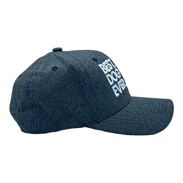 Crazy Dog T-Shirts - Wholesale Baseball Cap - Men's - Best Dog Dad Ever Hat Funny Fathers Day Pet Lovers Cap