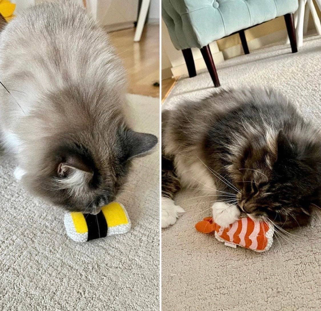 Miso Handmade - Vendita all'ingrosso Giocattolo - Gatti - Set di 2 sushi per gatti al catnip e vendita sfusa2