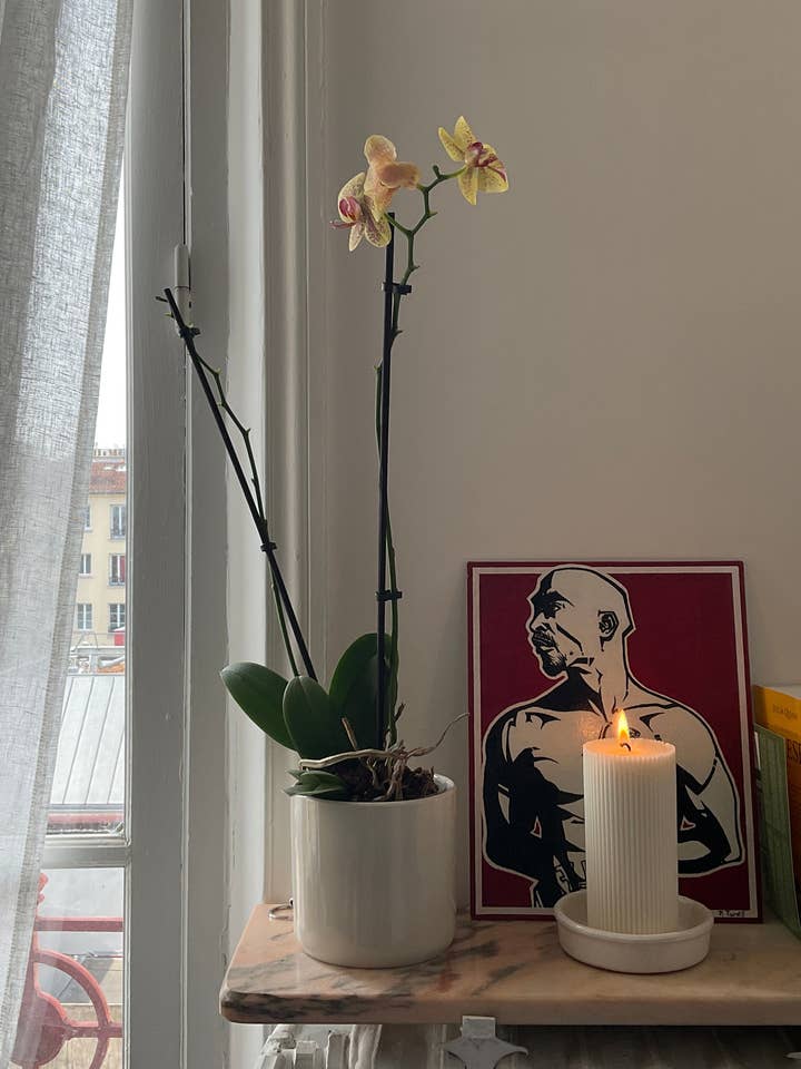 Linge Frais pour la vente par Candles Studio