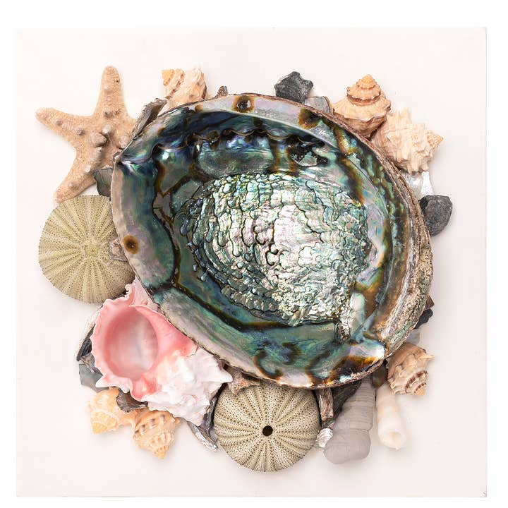 Sarimoire - Vente Échantillon pour commerçant – décoration d'intérieur - Décoration en coquille d'ormeau, décoration océanique, décoration décorative sur la plage - W