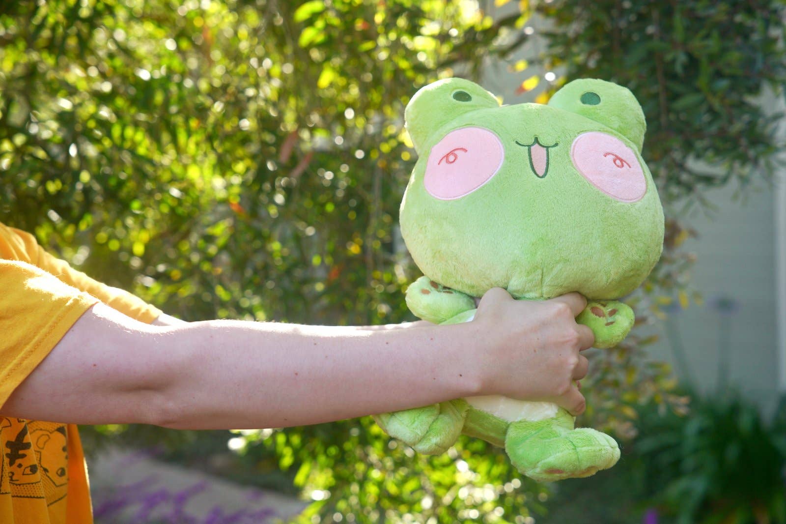 Cool Art Corner - Wholesale Stuffed/Plush Toy - Kids & Baby - Booty Squad Teddy Plushies2