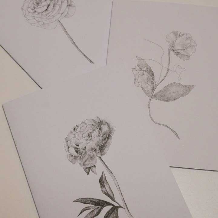 Sam Callery Art - Wholesale Everyday Greeting Card - Ranunculus Stem Greeting Card