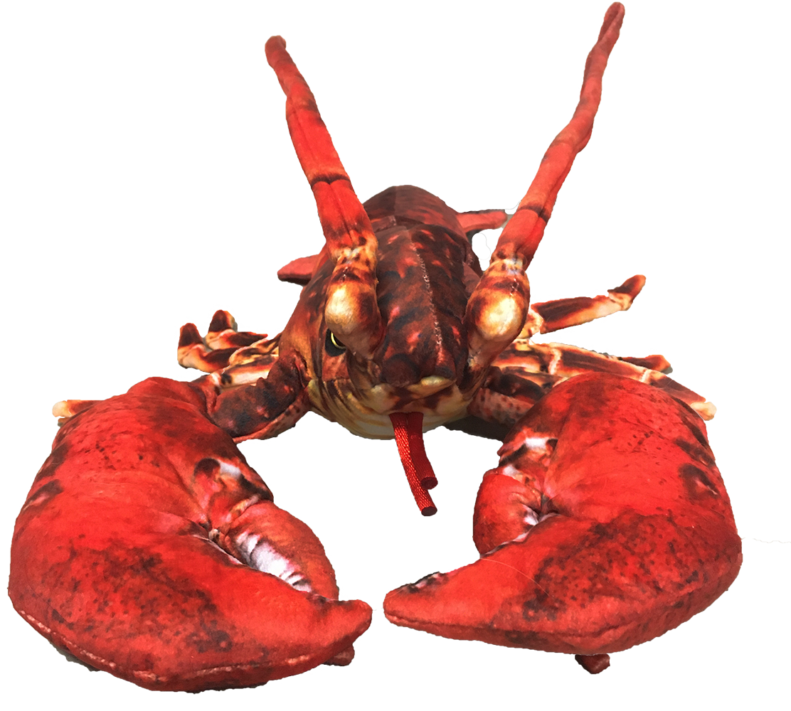 Texas Toy Distribution - Wholesale Stuffed/Plush Toy - Kids & Baby - Lobster with Claws 18" Ocean Plush Stuffed Animal4