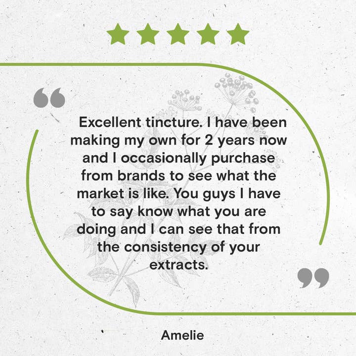 Secrets Of The Tribe - Wholesale Tincture - Sarsaparilla Tincture8