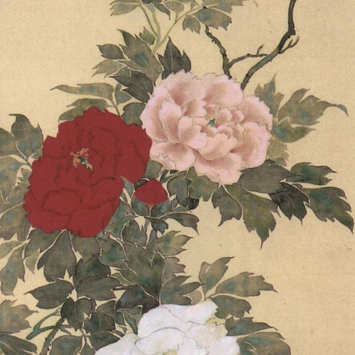 CATCH 10.5X21 CARTES DOUBLES NC4882 pour la vente par Phenicia