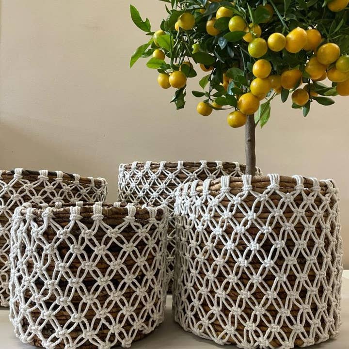 Mand Macrame; Set van 4 Stuks for wholesale by ByBazz