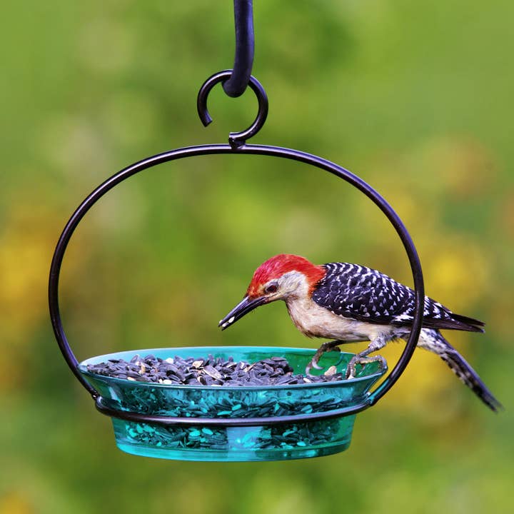 Mosaic Birds Cuban Hanging Bird Bath Or Feeder Aqua for wholesale by Couronne Co.