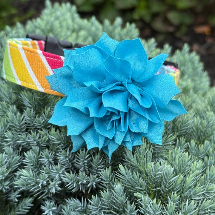 Flor esponjosa azul turquesa para venta al por mayor de Dog Collar World