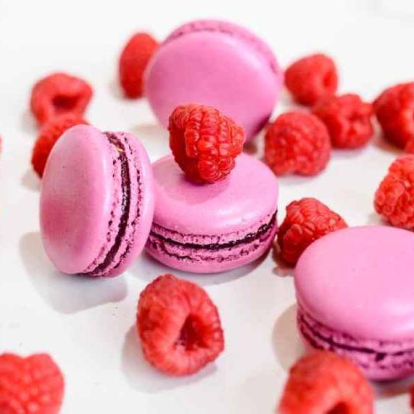 Olivia Macaron - Wholesale Cookie - Raspberry (Vegan)2