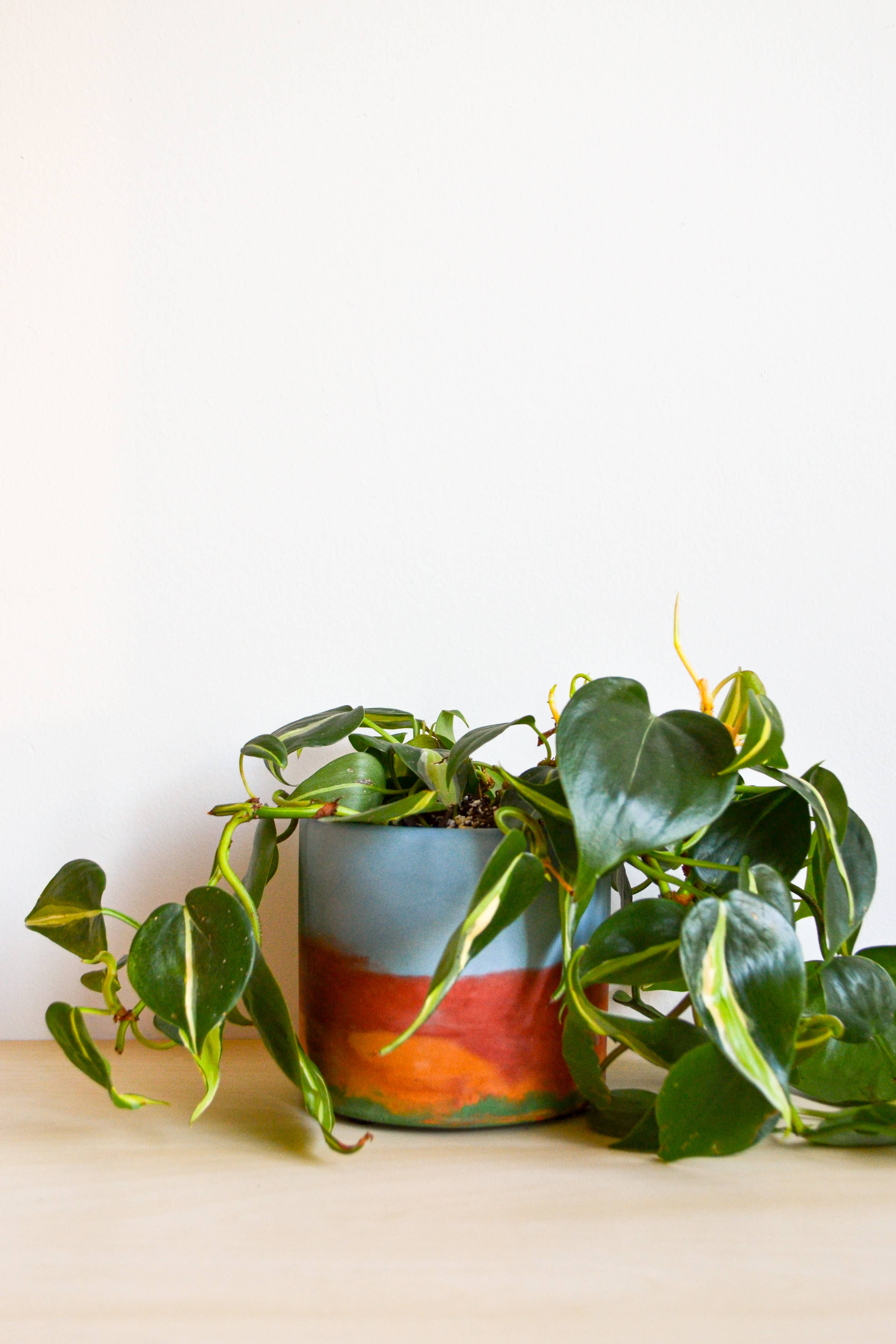 LindaMakess - Wholesale Plant Pot - Rainbow Watercolor mix planter | multiple sizes7