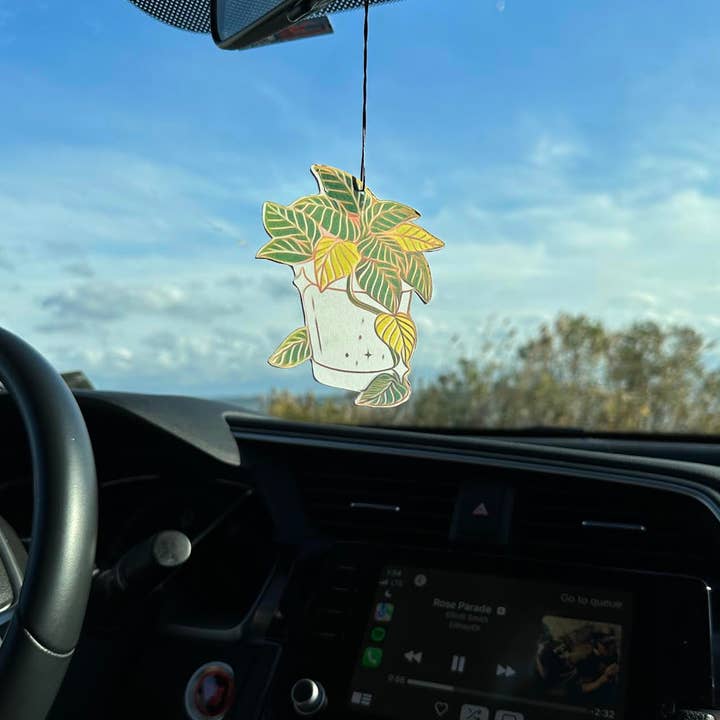 airWheres - Wholesale Car Freshener - Women's - Car Air Freshener Set House Plants Lover Gift Birthday8