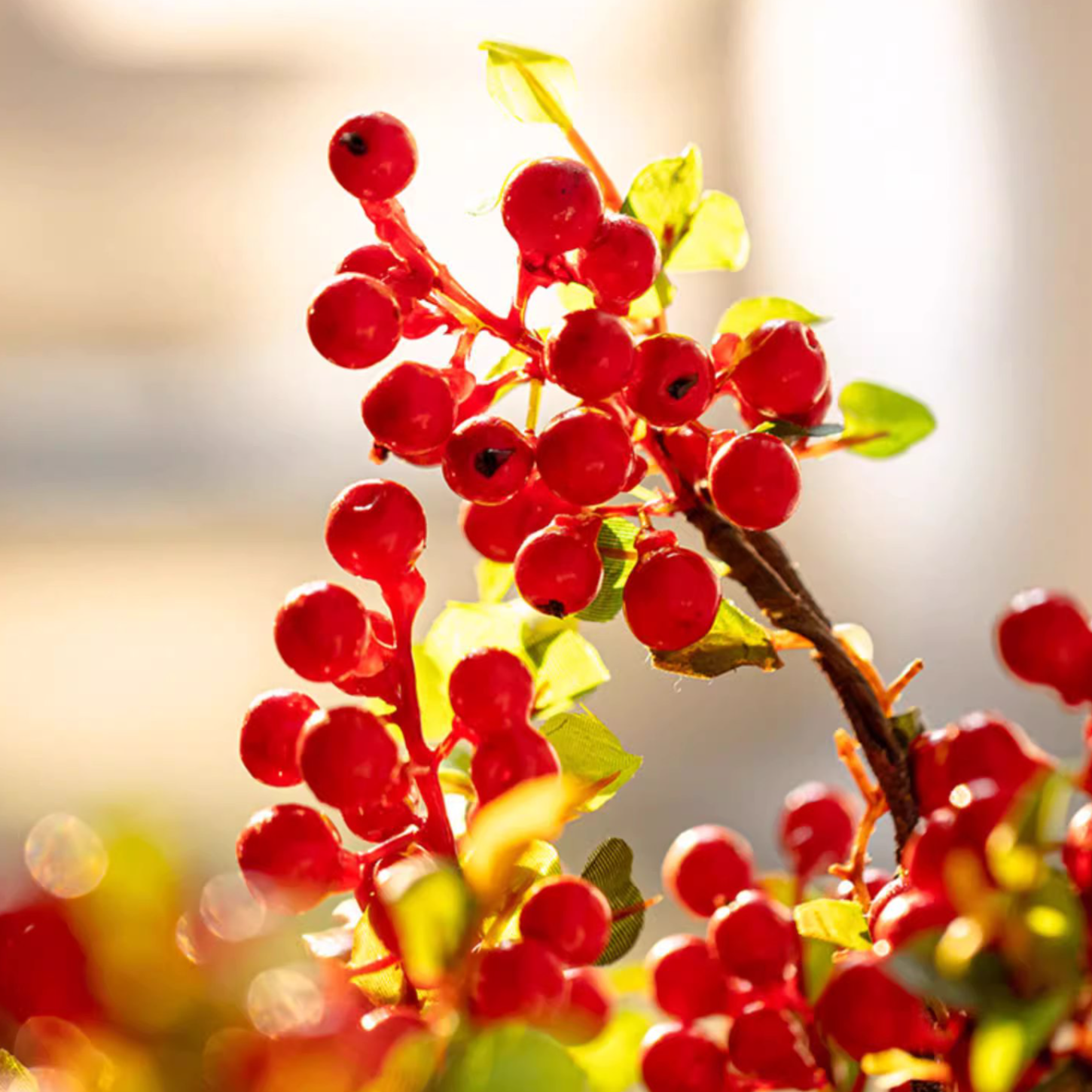 Rustic Reach - Vente Plantes artificielles - Tige de baie artificielle rouge de 17 pouces de haut6